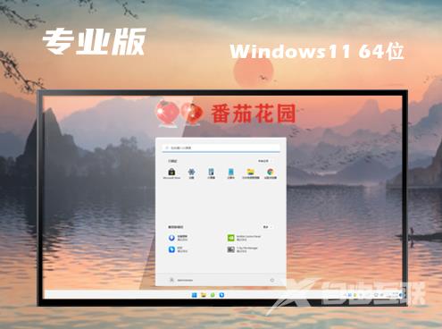 win11专业版镜像官网版下载 win11专业原版正式版下载