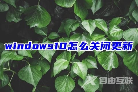 windows10怎么关闭更新