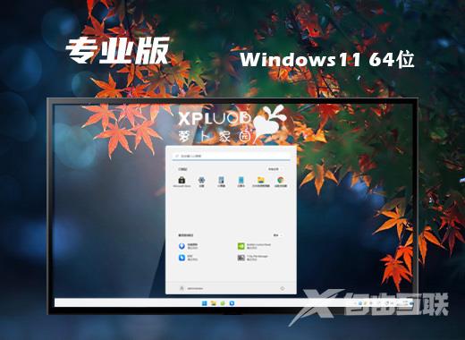 萝卜家园windows11官方精简版系统下载 win11免激活正式版系统下载