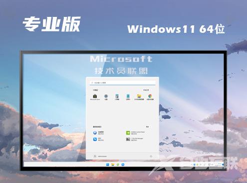 win11中文专业版下载 win11专业官方正式版下载