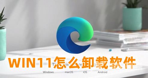 WIN11怎么卸载软件 win11卸载软件怎么清理干净