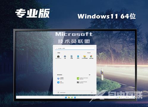 win11最新专业版下载 win11专业正式中文版下载