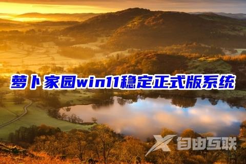 萝卜家园win11稳定正式版系统