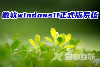 微软windows11正式版系统下载 最新win11系统镜像文件下载