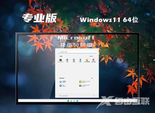 技术员联盟win11系统最新专业版下载 windows11稳定永久免激活系统镜像文件下载