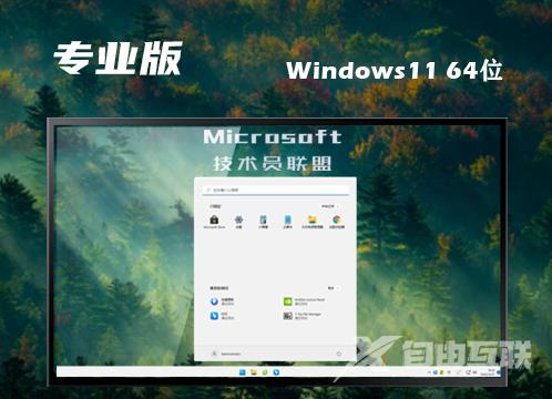 win11专业版镜像官网版下载 win11专业原版正式版下载