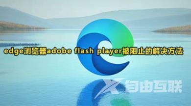 edge浏览器无法使用flash插件怎么办 系统提示adobe flash player被阻止怎么办