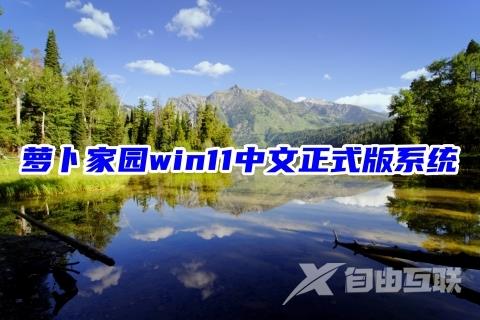 萝卜家园win11中文正式版系统