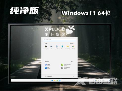 windows11简体中文版系统下载 windows11正式官网版下载