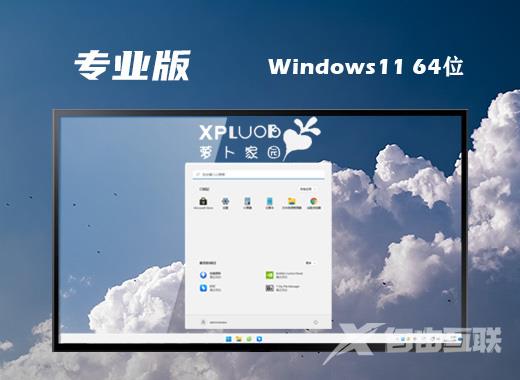 萝卜家园win11稳定专业版系统下载 win11官网中文版系统下载