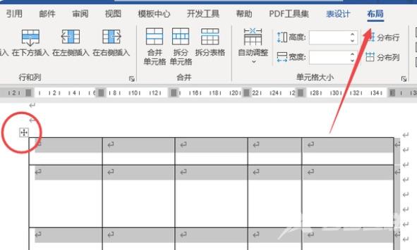 word表格列宽和行高怎么设置 怎么一键调整word表格的行高和列宽