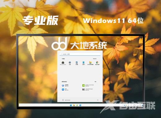 大地系统64位win11专业正式版系统下载 ghost windows11官方中文版镜像文件下载