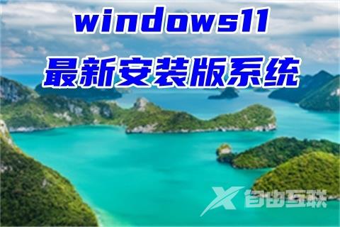 windows11最新安装版系统