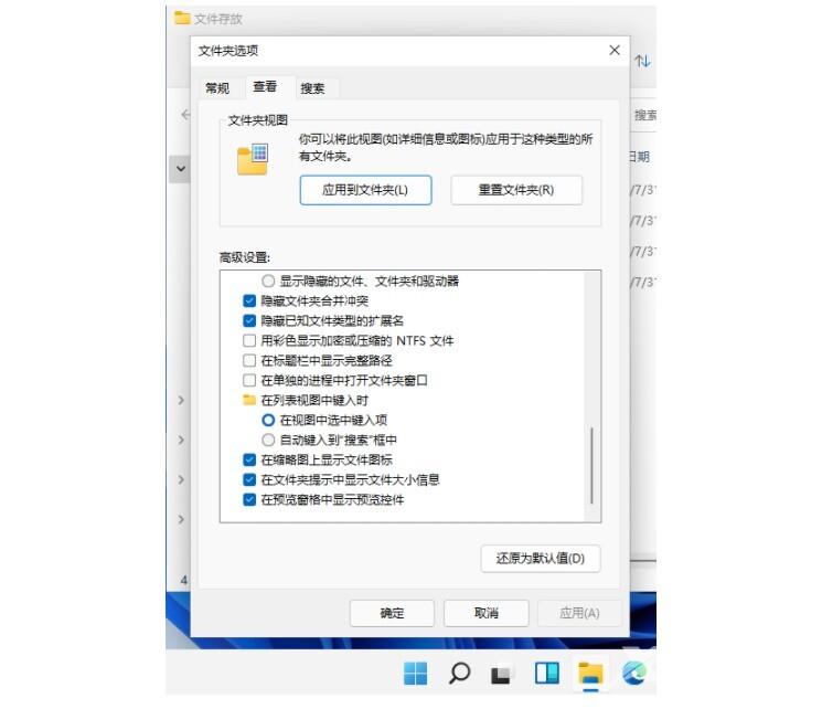 win11显示文件后缀名怎么操作 win11文件后缀名隐藏了怎么打开