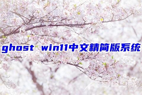 ghost win11中文精简版系统