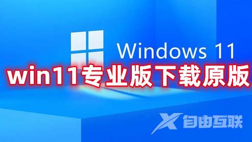 win11专业版下载原版 win11专业官方版镜像文件下载