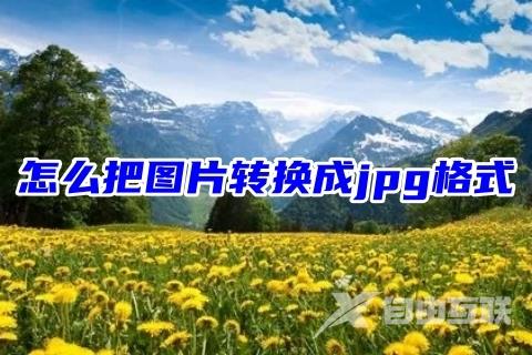 怎么把图片转换成jpg格式