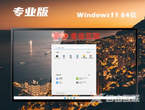 win11最新专业版下载 win11专业正式中文版下载