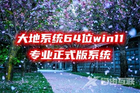 大地系统64位win11专业正式版系统