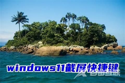 windows11截屏快捷键 windows11截屏图片在哪里