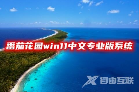 番茄花园win11中文专业版系统下载 windows11系统64位最新镜像文件下载