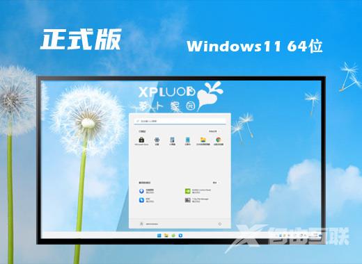 win11纯净正式版系统iso文件下载 windows11微软官方最新版系统下载