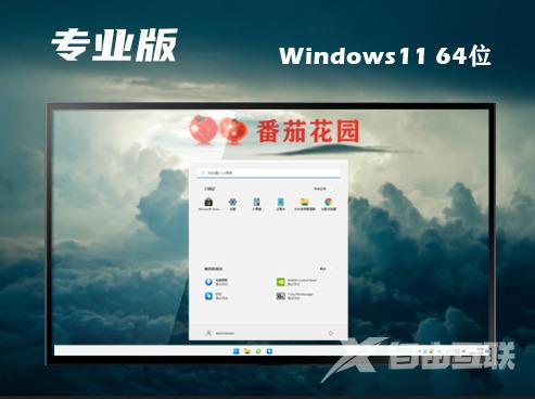 windows11专业版下载官网 windows11专业中文正版下载