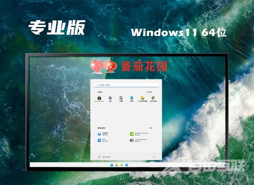 win11专业版下载原版 win11专业官方版镜像文件下载