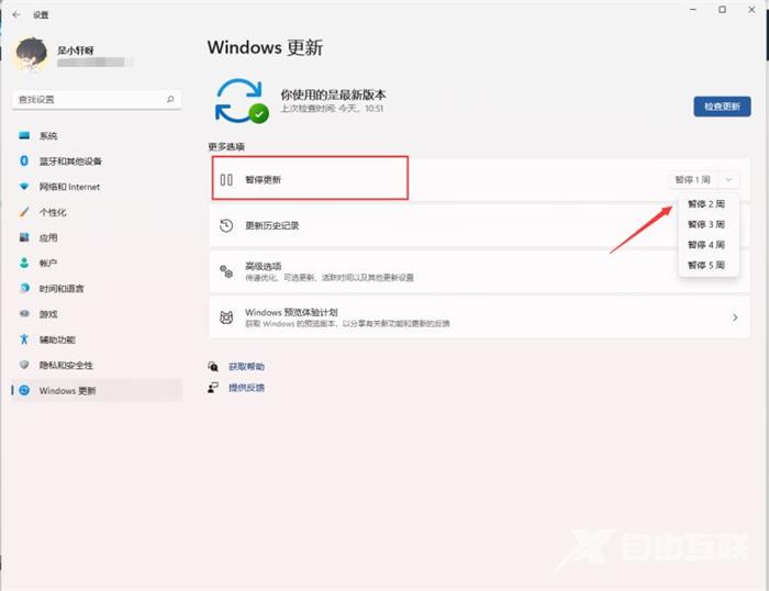 win11强制更新太恶心了怎么关闭 win11设置永不更新方法介绍