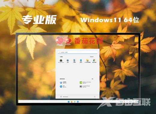 番茄花园ghost win11中文版系统下载 windows11系统最新免激活镜像文件下载