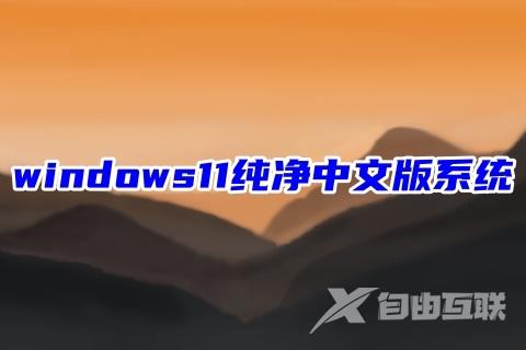 windows11纯净中文版系统