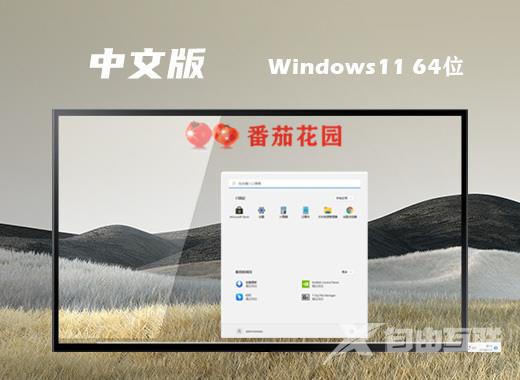 番茄花园win11系统64位中文纯净版下载 windows11系统ghost镜像文件下载