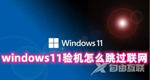 windows11验机怎么跳过联网 windows11跳过联网激活的方法分享