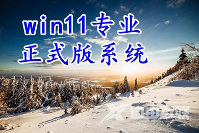 win11专业正式版系统