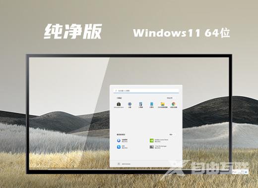 笔记本windows11纯净版系统下载 64位win11系统最新官方下载地址