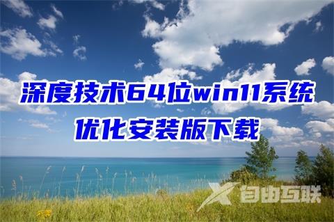 深度技术64位win11系统优化安装版