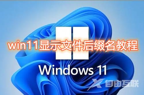 win11显示文件后缀名怎么操作 win11文件后缀名隐藏了怎么打开