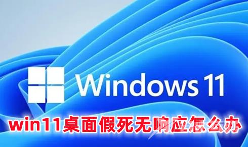 win11桌面假死无响应怎么办 win11桌面卡死的解决办法分享