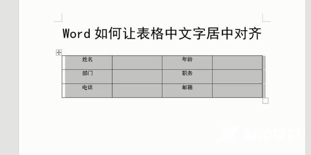 word表格内容居中后仍偏上怎么办 word文字靠上居中不了怎么办