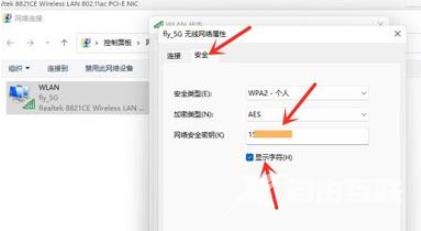 win11怎么查看wifi密码 win11查看已连接的wifi密码的方法分享