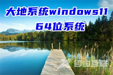 大地系统windows11 64位系统