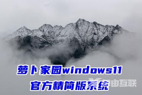 萝卜家园windows11官方精简版系统下载