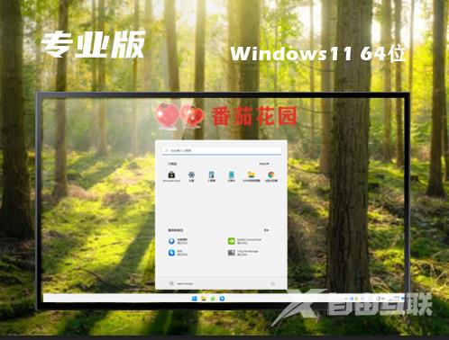 windows11专业版下载官网 windows11专业中文正版下载