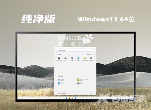 萝卜家园ghost win11稳定版系统下载 windows11系统精简镜像文件下载