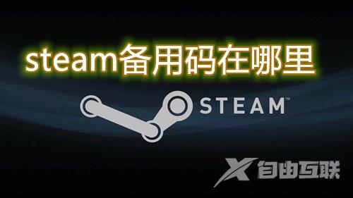 steam备用码在哪里 steam电脑pc端备用码查看方法介绍