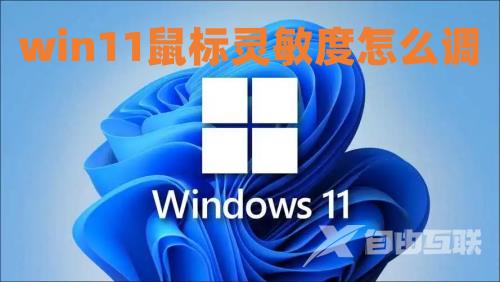 win11鼠标灵敏度怎么调 win11鼠标dpi怎么设置