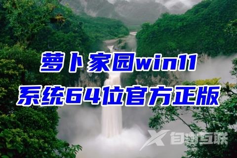 萝卜家园win11系统64位官方正版