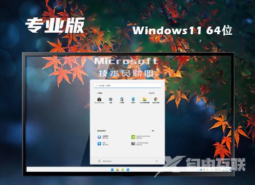 win11专业版原版下载 win11官网中文版镜像文件下载