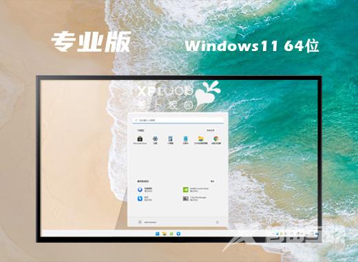 64位win11纯净专业版系统下载 windows11稳定中文版系统免激活下载