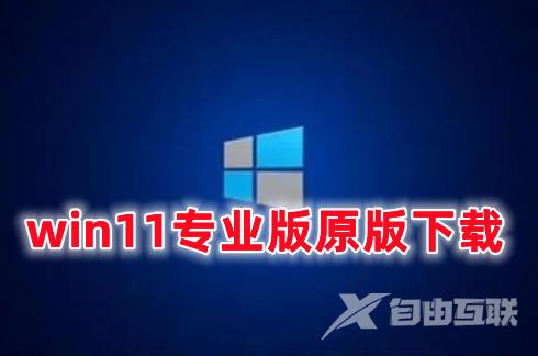 win11专业版原版下载 win11官网中文版镜像文件下载